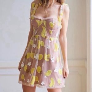 For Love and Lemons Fruit Punch Dress Size Large.